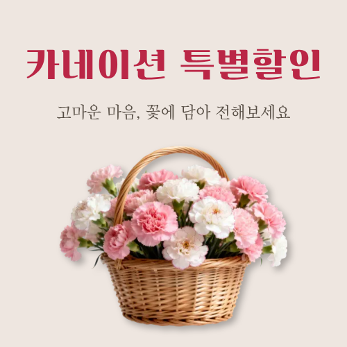 카네이션 특별할인