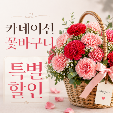 카네이션 특별할인